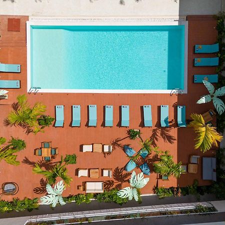Samawa Living Otel Paje Dış mekan fotoğraf